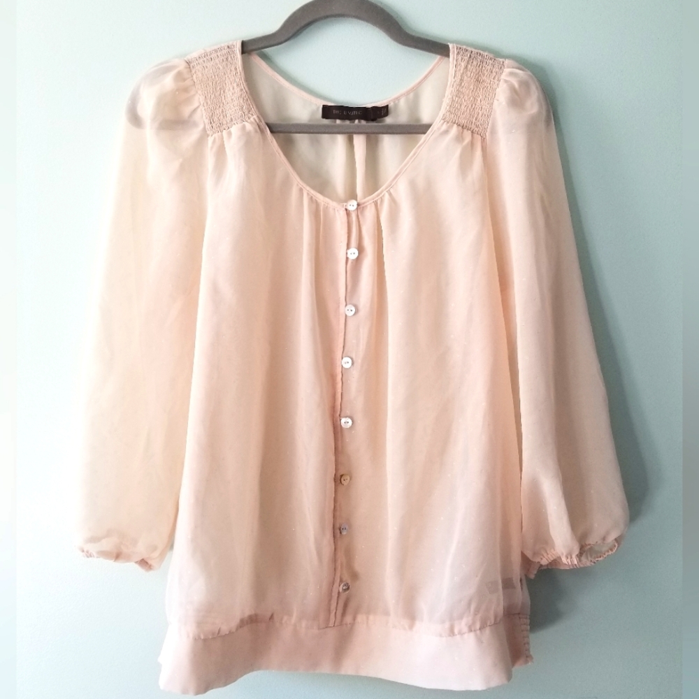 The Limited Sheer Shimmery Blouse